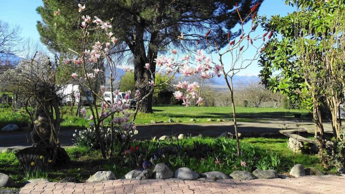 31G101494-2c0f62fecaab4e439fa737b1456bec5c