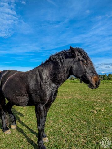 31G101494-744efec1046d414a8fe1275a078ecf33