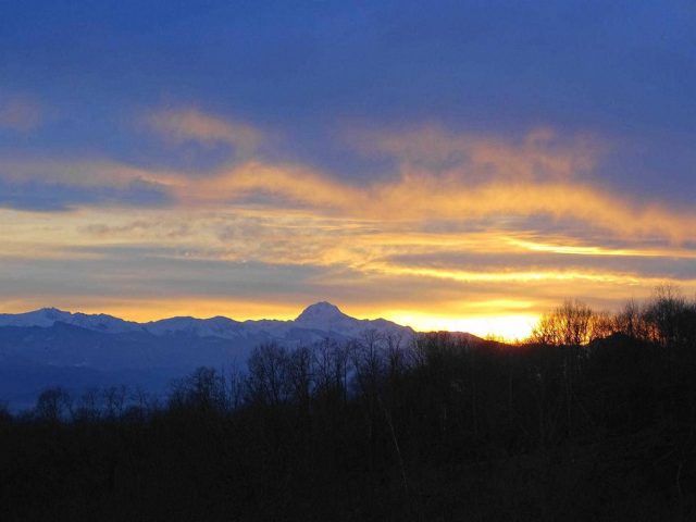 31G101494-a41bbacdae074119a94d97cf347f8415