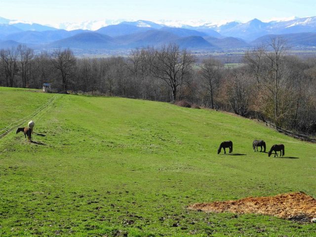 31G101494-dd8bc1cb3909432b95ddcc352890ccdc