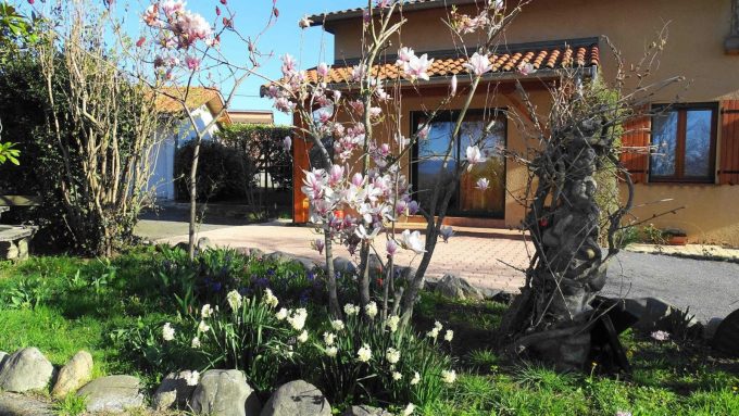 31G101494-dfab3d28163741549b6e7c15cee217d8