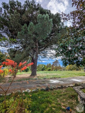 31G101494-e40879c3ee914937bfe9c5683897bb16