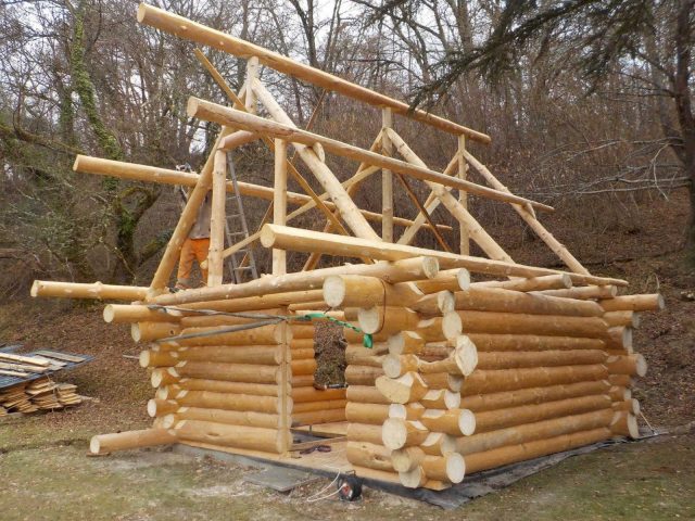 31G101497-0a5c0edae350420e88ac9ecc16da41ee