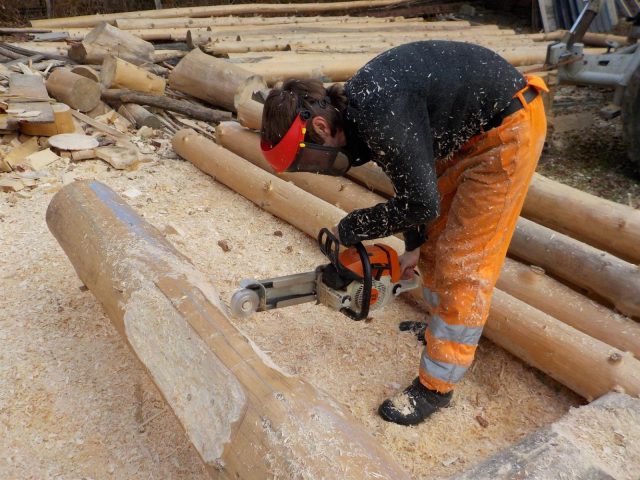 31G101497-17c3ec9cc18a4382a9314476ee4dc03f