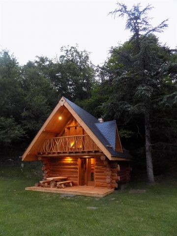 31G101497-37ae892ae1734fdba2ecbe187a35252e