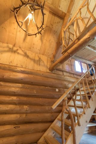 31G101497-8ad3172eabcb416a8b21a423b9fa353b