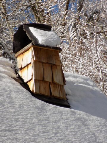 31G101497-ab88de894ccf48d483bdea12c9cc6a41