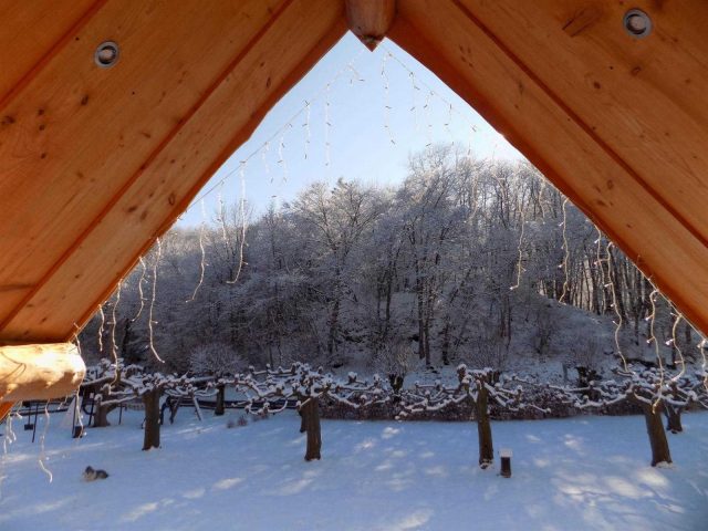 31G101497-b4e824ed4e444152b2893d37fce3e484