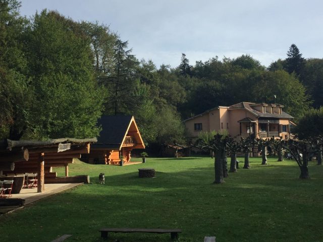 31G101497-cb5d4983fc07429e8446bf06470d3657