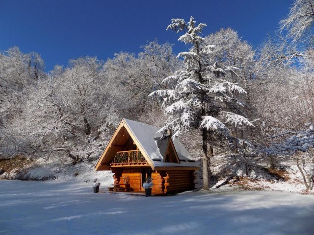 31G101497-dbaab7eb77e94f6c9b297077a5d51f4f