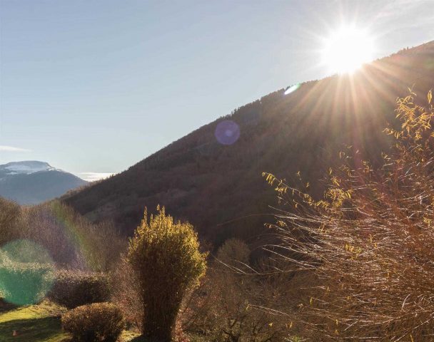 31G101499-0f6f524bb99f4a8bb97fd2b2a1fe3d3d