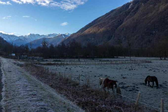 31G101499-3ba7ee05cba544e88c44483c678220fd