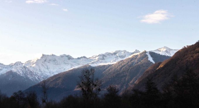 31G101499-acddc1f5030d49388a805c2ac1e53d3c