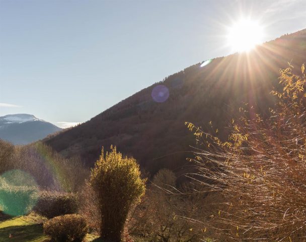 31G101499-c5577d79a2c24bbdb8d464545208c54d