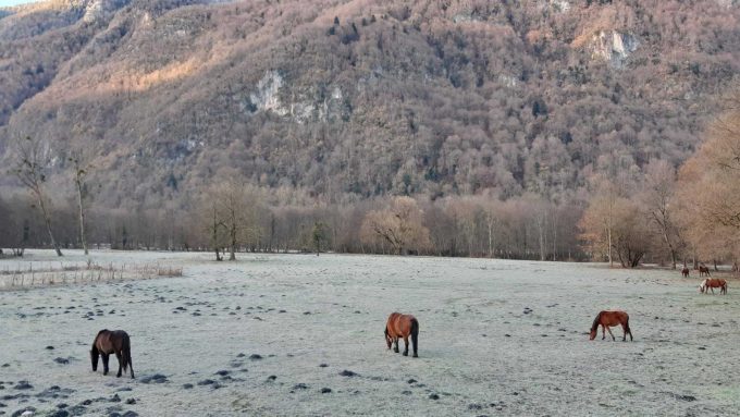 31G101499-d30eb143b08c440e9242462da9fe0b81