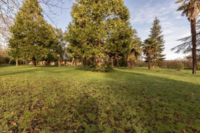 31G101501-239ce15a7dc741cb9d7249a777b0ed69