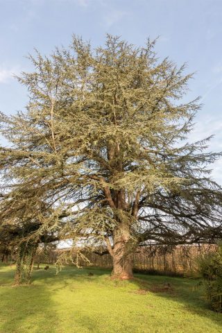 31G101501-5c8cfd3171c04434891b9d787cde5c7c