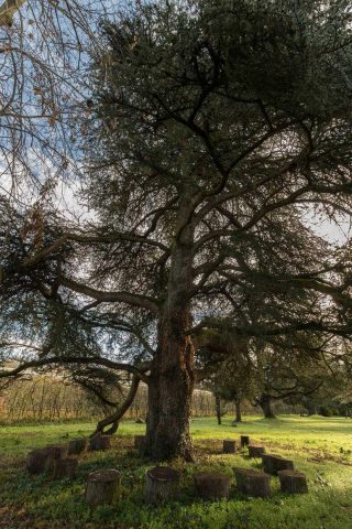 31G101501-f3c60b548e5840b5987e2502ccd38fb6