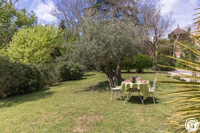 31G101515-cb8a1995f5ce4a2d84c3f81150f7fd77