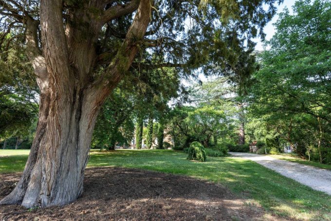 31G101515-f632a52fd2a243e29c23a900f4afcdd4