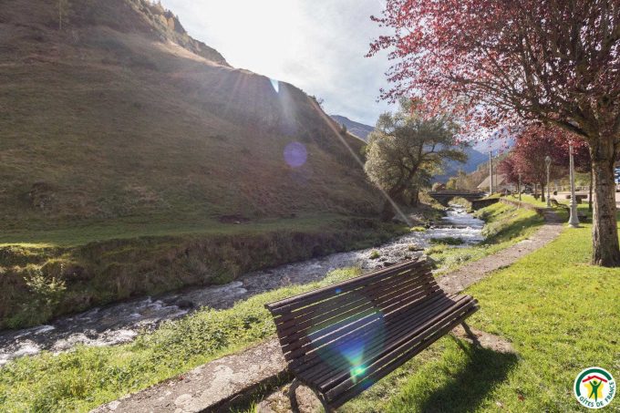 31G101540-a2500436a19843d6b932aba3d29d401a