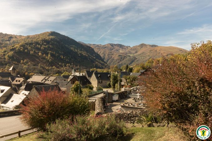 31G101540-cf22b8ba376c4b559a203791d7511955