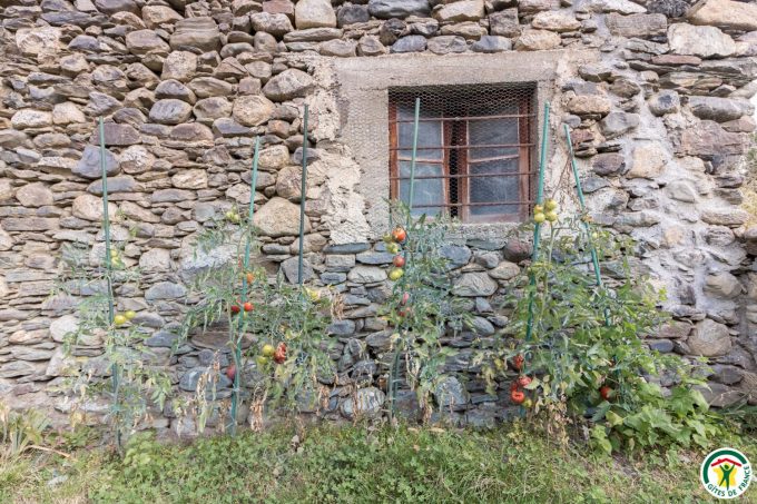 31G101540-e3ae5a35a97142308b840530c8d36d65