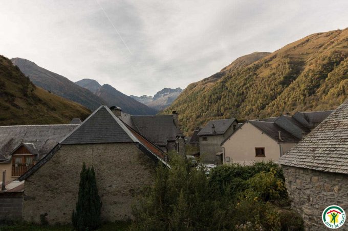 31G101540-f008200c91b04077b30958aaf68f891a