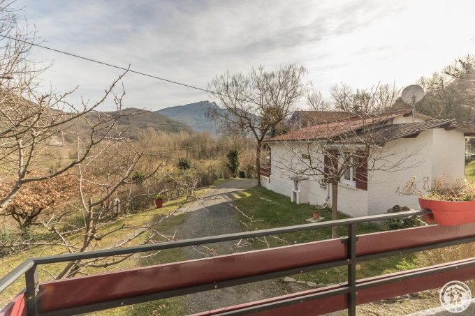 31G101553-263b22e629294a9a9511c8449b60ad34