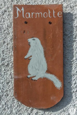 31G101553-7a5df41ff745433bb00ff40c1fb7118c