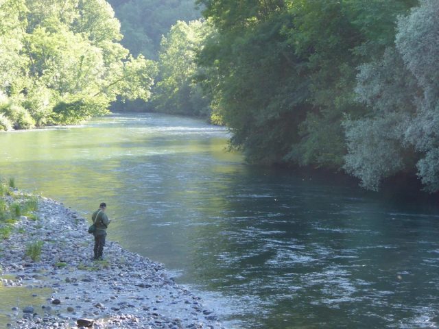 31G101553-f2419e29d7d44550a970b9b89f875263