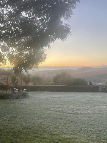 31G101566-7df824e12c3d4c15bb96c26628f425f7