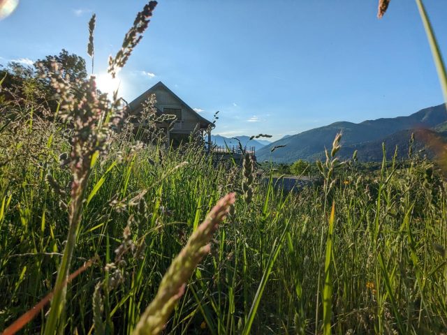 31G101608-3026e0677e064266a7e6144e498b3970