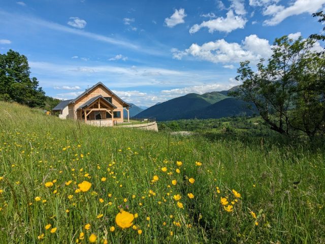 31G101608-5f7a126efd9543fe9b76e43ebe37f3cf