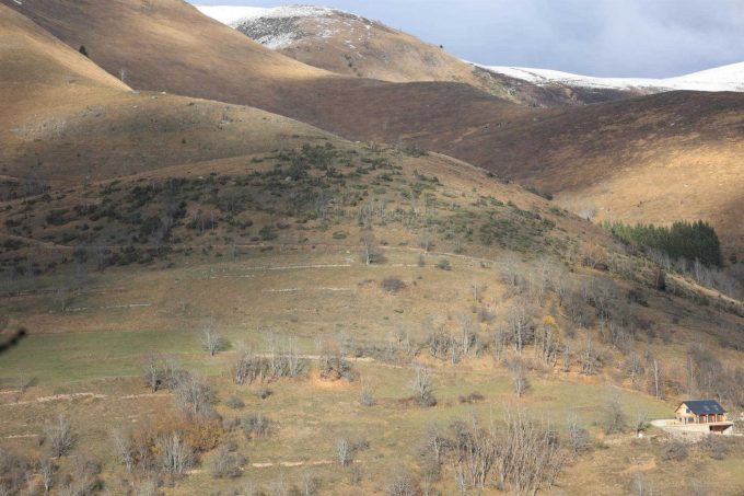 31G101608-70551cd16f064cd4bb21c1631b4a958e