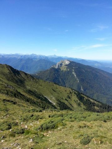 31G101612-cfade189fc4349a68dec9b10bcad09c1