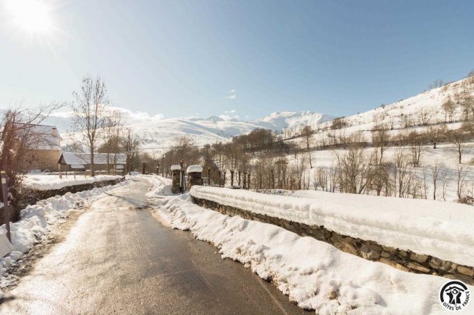 31G101613-7f1e9a6bd8c14ffdaeeb1bedf053b24c