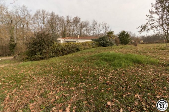 31G101620-0c13628e18ce4b6ea4ea6af73d826471