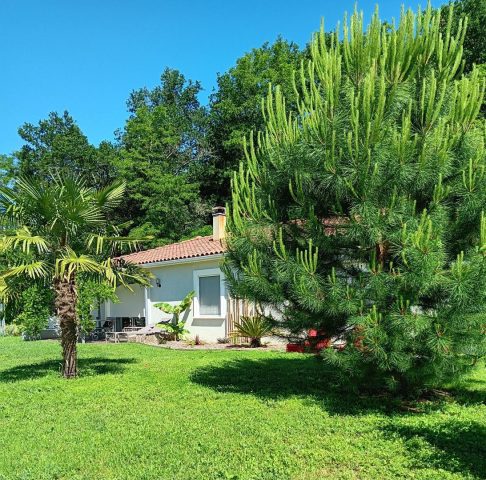 31G101620-f2665e8b77de4c0e881cc95f3dbacd38