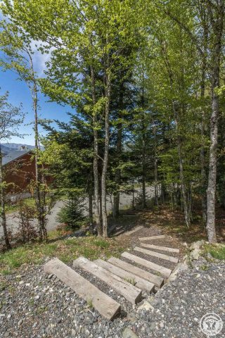 31G101631-763709adceee442a97d33f83aaa682d3