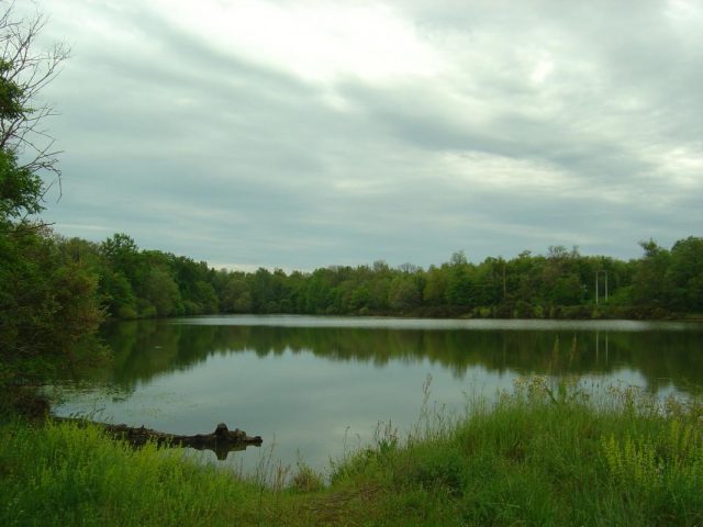 31G101650-8428605922674a13b6e1b432242dbaa3