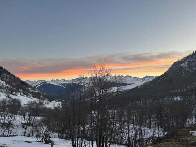 31G101655-11054dc31e9341c881a9762271bf8d45