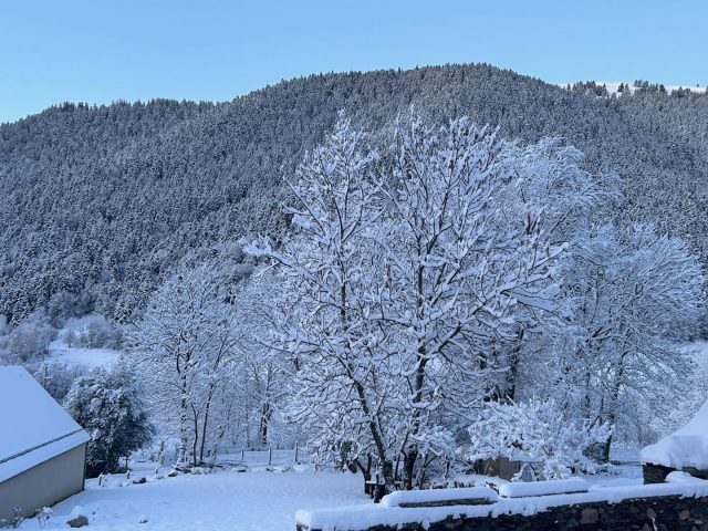 31G101655-8ca64899bf2541639bc401fc74c5f346