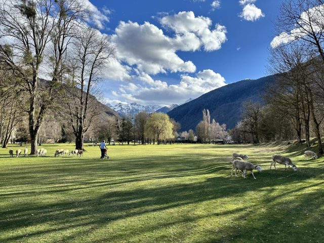 31G101657-6048754a100549e580af344f09bda1a8