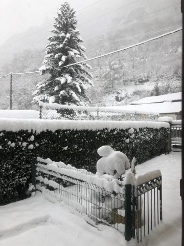 31G101657-88332b0f5cc5481d980336d99867f281