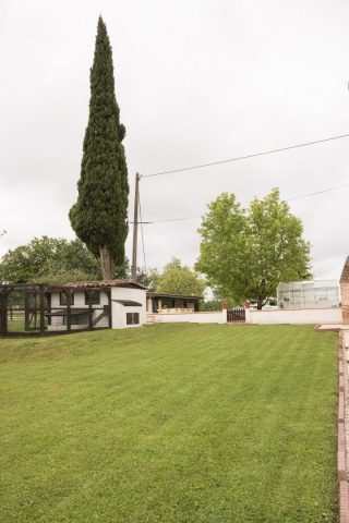 31G101688-1ea314c11b154177bfa3e5654433dd48