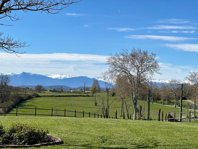 31G101688-4fd3bffb920e4763b359b09d547c0265