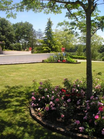 31G101688-a351263bb0144760984c2ca1b36a3842