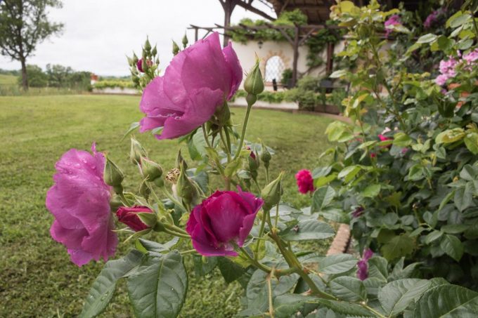 31G101688-ce4642e4fc57433895e6704a25afd580