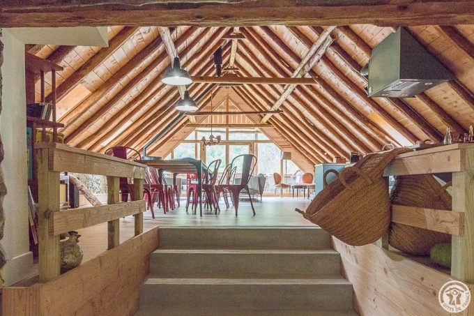 31G101695-1c92bf06c4474864a3bfc44a90c0d5e6